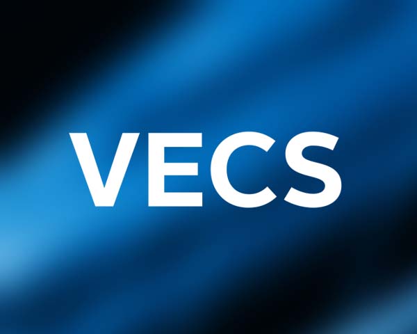 VECS 2025