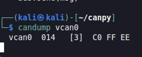 Figure 2. An actual CAN dump of the virtual CAN bus interface