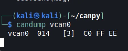 Figure 2. An actual CAN dump of the virtual CAN bus interface