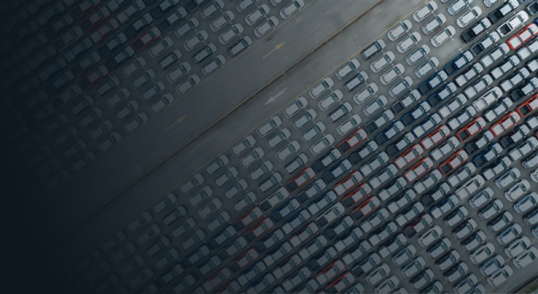 Supply Chain Software Origin Inspection
